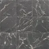 Haussman dark
